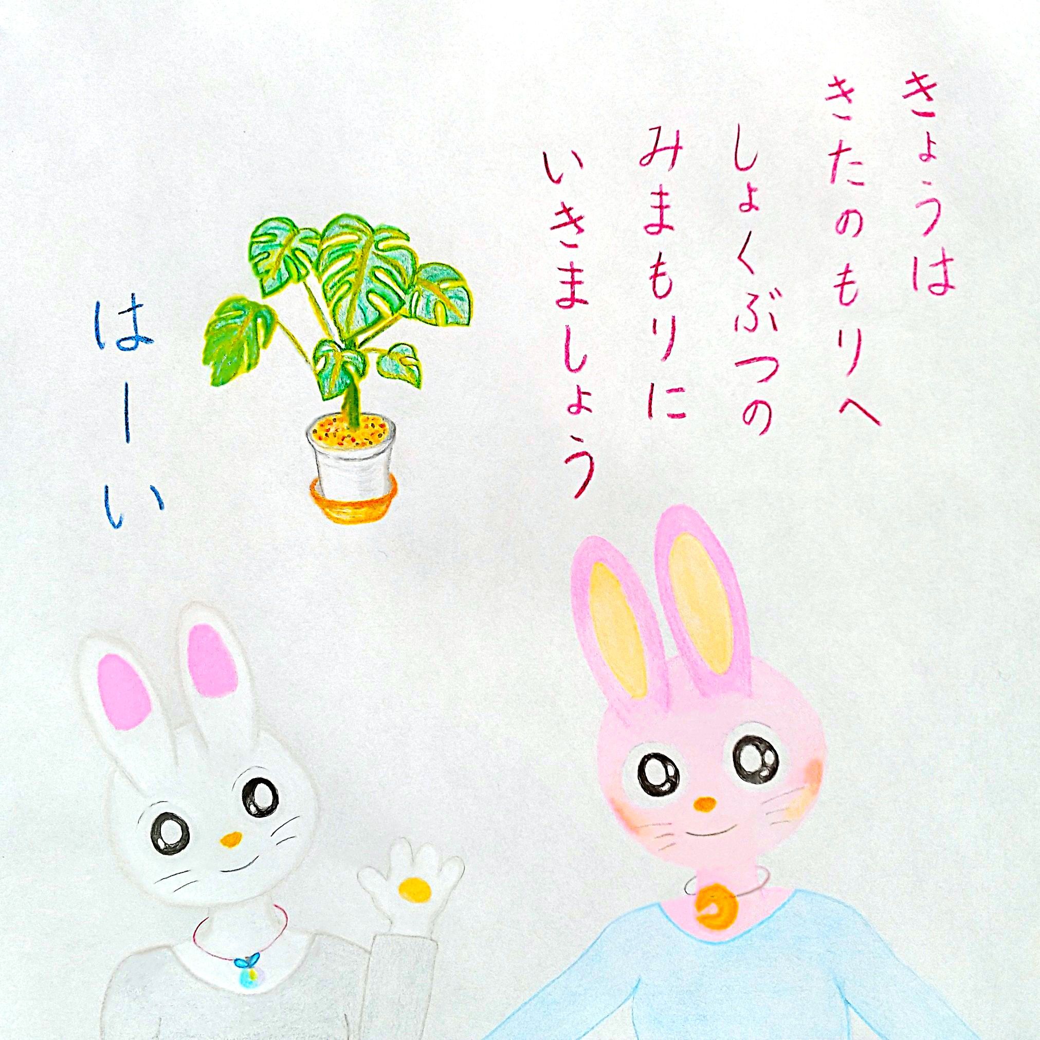 るふるん　
第１１話　きせきのもり
の１ページ目